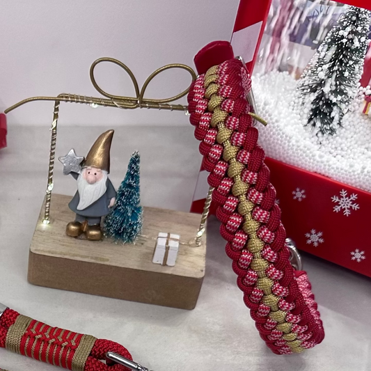 Collare rosso Isa abbinato al suo guinzaglio chic set cordinato per cani di taglia piccola e media