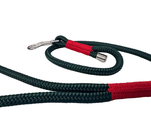 foto del guinzaglio magia del bosco della linea stela di natale semplice ed elegante come la natura. per escursioni natalizie