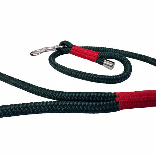 foto del guinzaglio magia del bosco della linea stela di natale semplice ed elegante come la natura. per escursioni natalizie