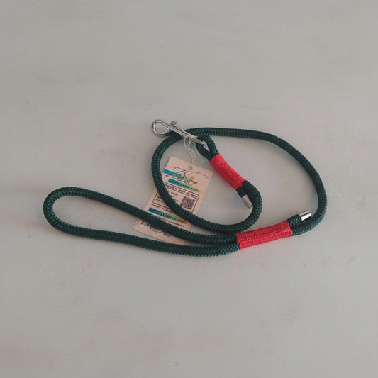 foto del guinzaglio magia del bosco della linea stela di natale semplice ed elegante come la natura. per escursioni natalizie