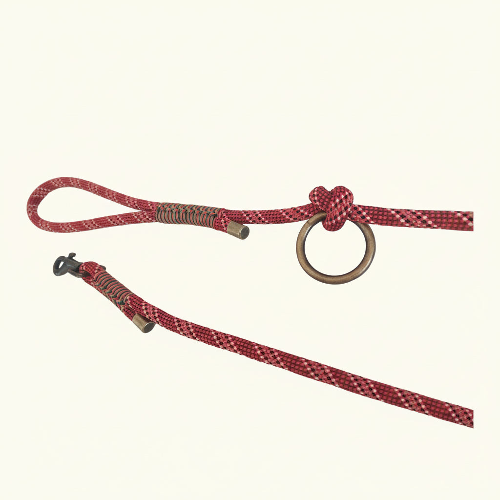 Laisse Rudolph Étoile de Noël - Chic Noël pour chiens de petite et moyenne taille