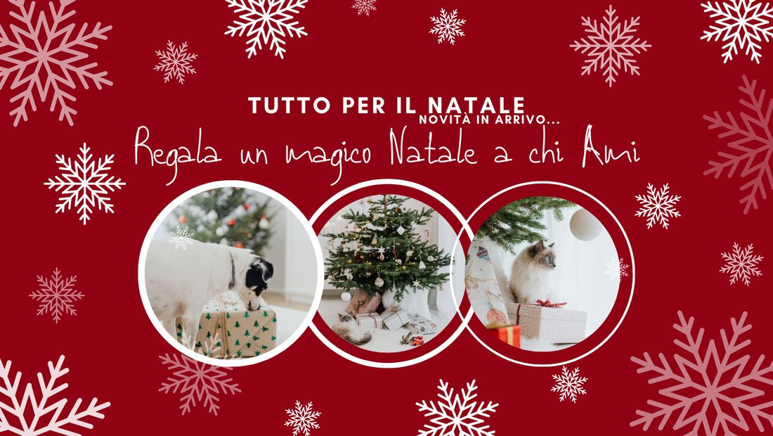 La Magia del Natale con il Tuo Pet | Idee Regalo per Rendere Magico il Mese di Dicembre
