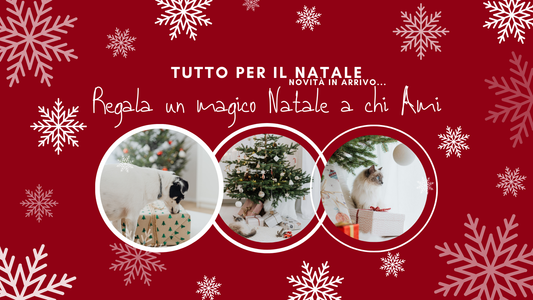 La Magia del Natale con il Tuo Pet | Idee Regalo per Rendere Magico il Mese di Dicembre