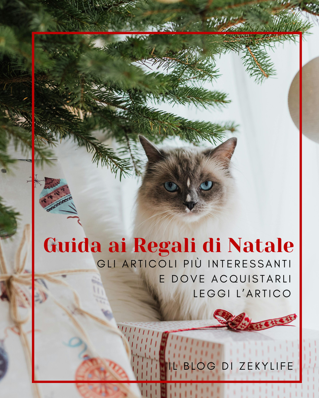 LA MAGIA DEL NATALE CON IL TUO PET