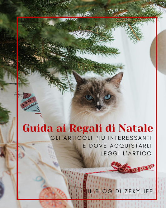 LA MAGIA DEL NATALE CON IL TUO PET