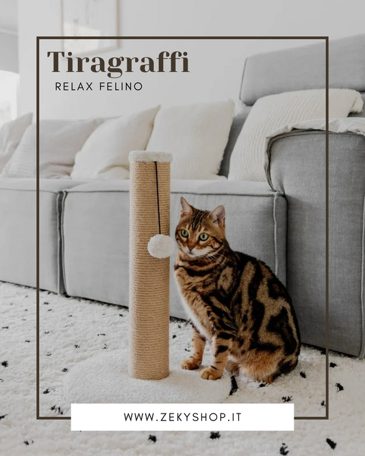 GIOCHI INTERATTIVI PER CANI E GATTI