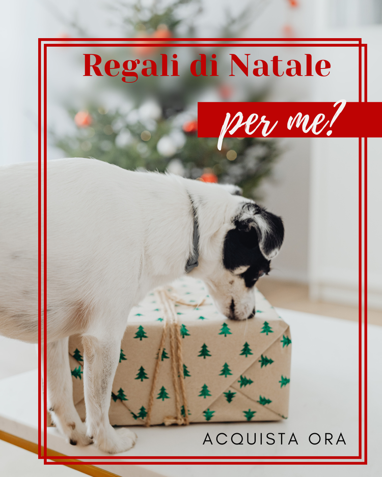 LA COLLEZIONE NATALIZIA per il tuo Cane di Zeky Shop!