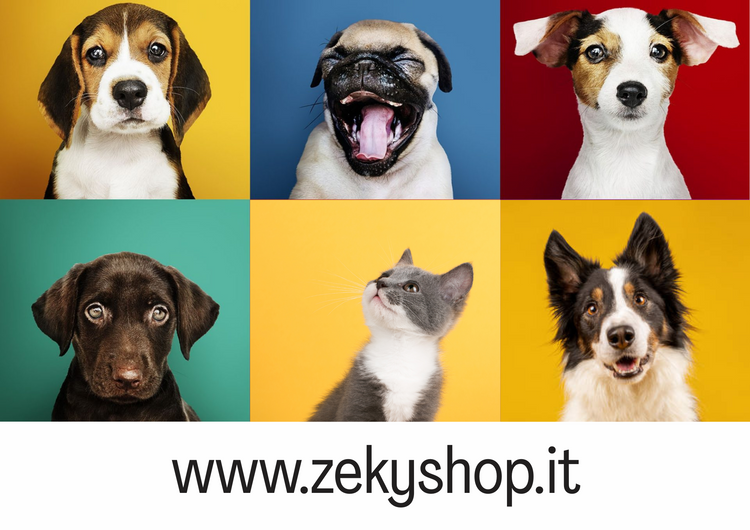 Benvenuto nell’Outlet di Zeky Shop