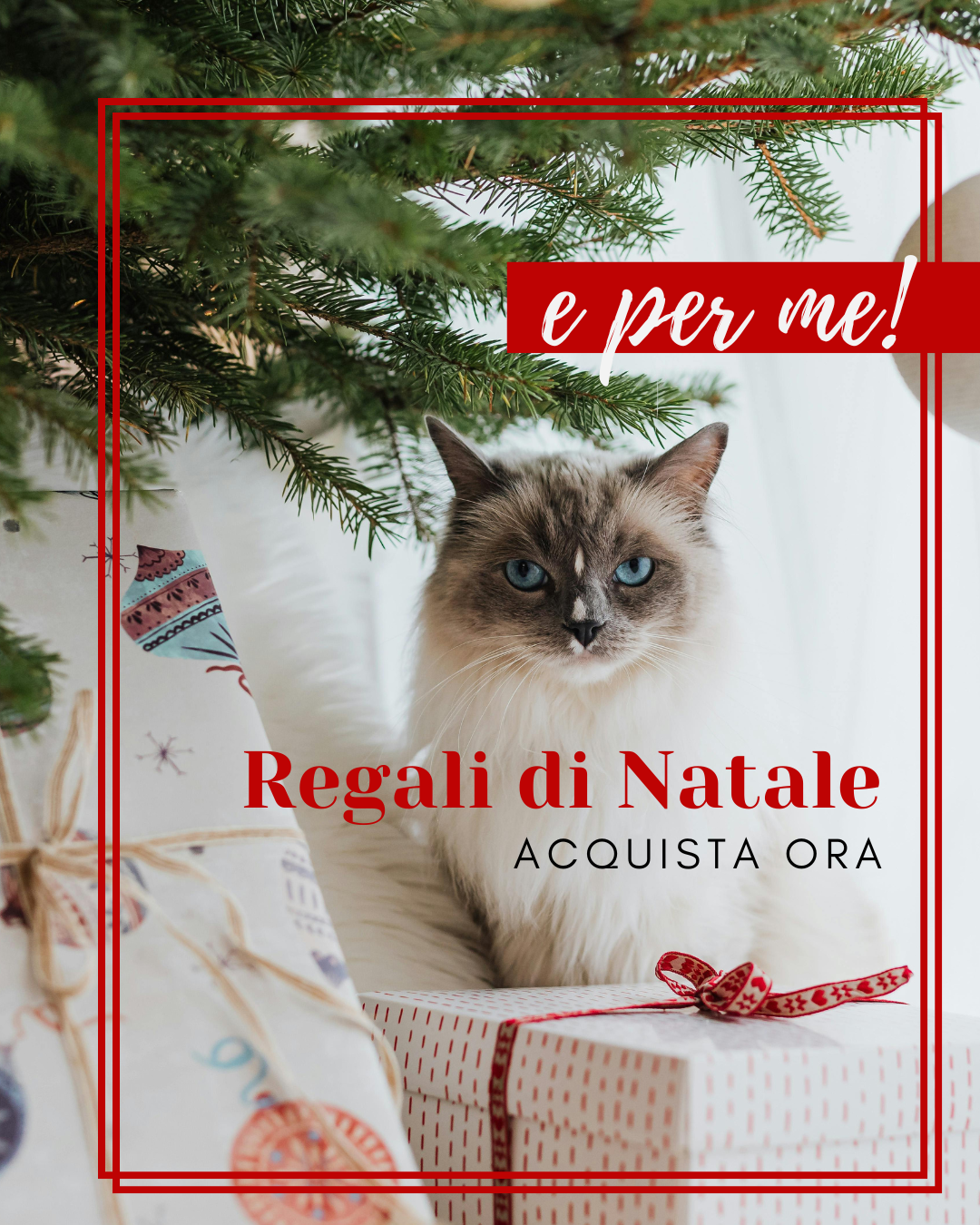 LA COLLEZIONE NATALIZIA per il tuo Gatto di Zeky Shop!