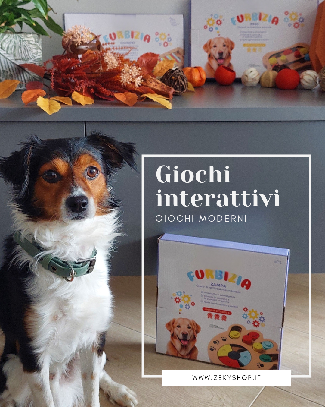 GIOCHI INTERATTIVI PER CANI
