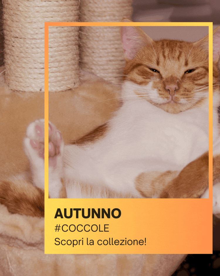 presto in arrivo la nostra linea benessere e cura per gatti