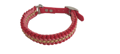 Collare rosso per cani di taglia piccola e media coordinato al suo guinzaglio rosso. Set chic per ogni occasione.