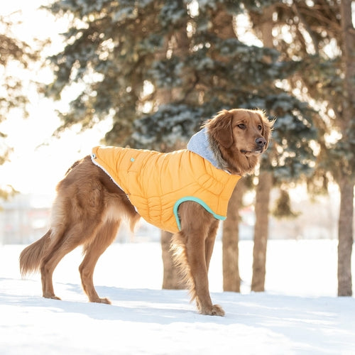 PARKA HIVER - Jaune