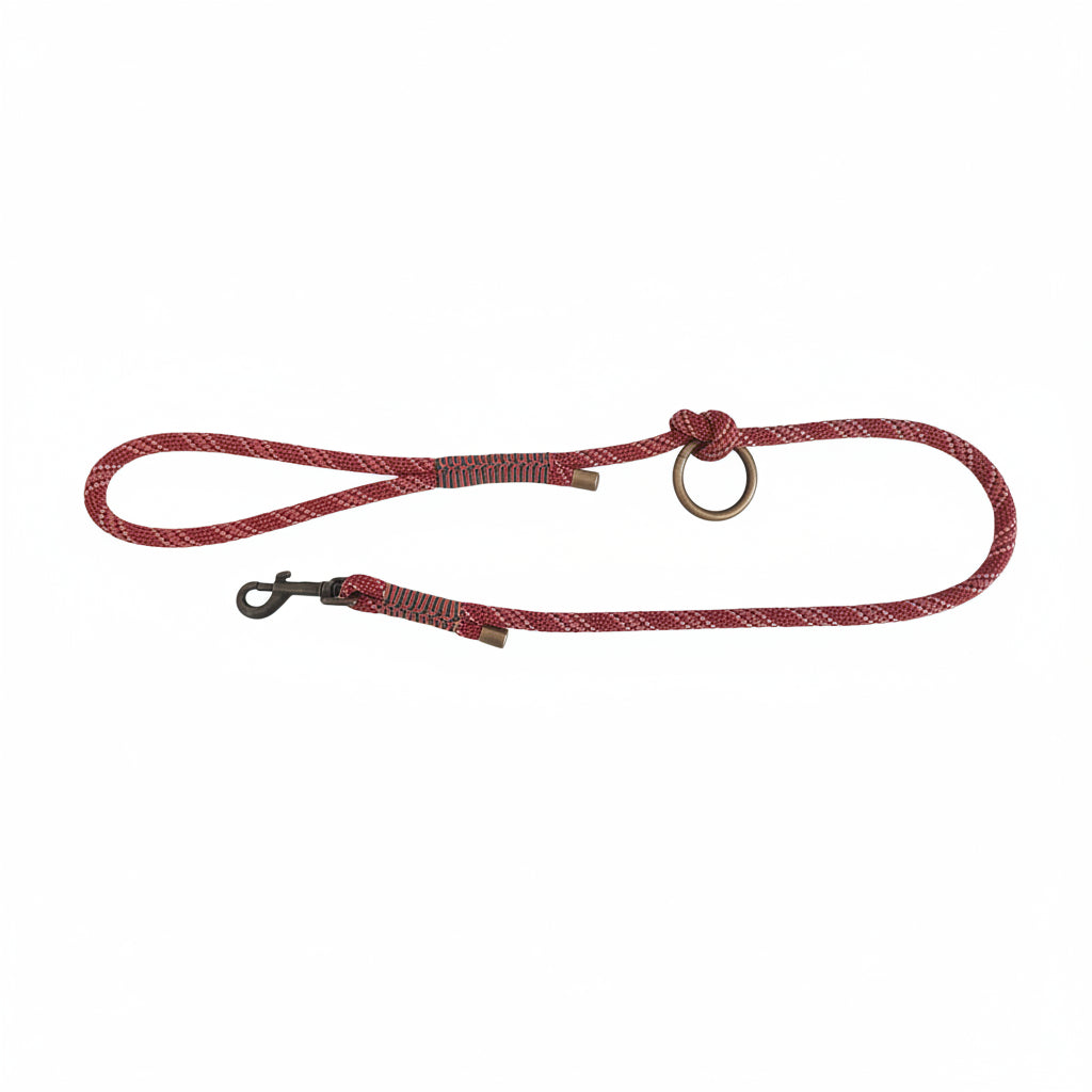 Guinzaglio Rudolph realizzato artigianalmente in italia con accessori in acciaio oro anticato
