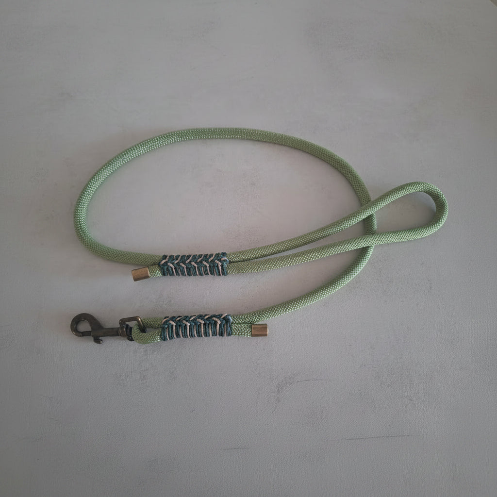 Guinzaglio isa verde chiaro con decorazione verde linea isabella zekyshop