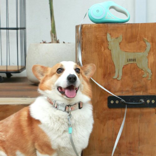 RETRACTABLE LEASH WITH LIGHT