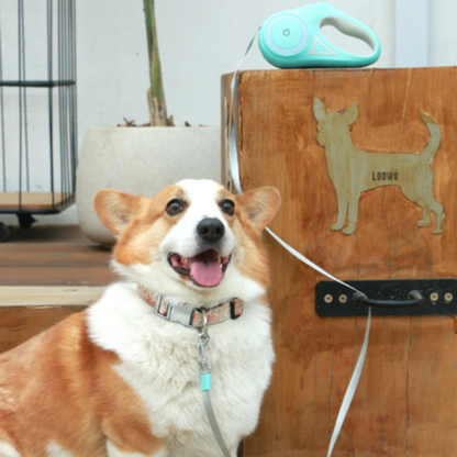 RETRACTABLE LEASH WITH LIGHT