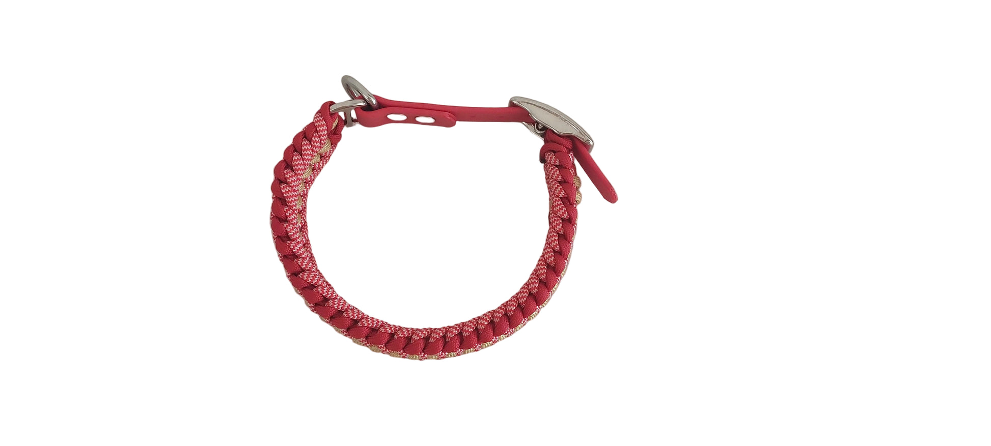 Vista dall'alto del collare Isa chic per cani di piccola e media taglia