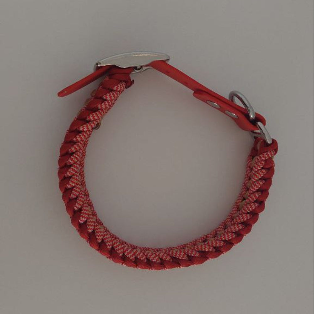 Vista dall'alto del collare Isa chic Natalizio per cani di piccola e media taglia