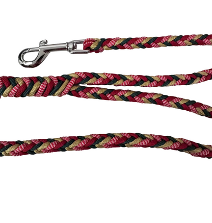 il guinzaglio bosco incantato per escursioni con i colori di un bosco invernale 