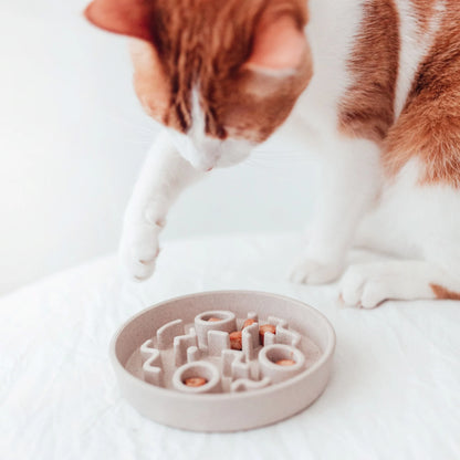 Ciotola per gatti a alimentazione lenta, design ecologico e resistente
