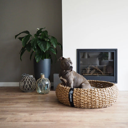 cuccia vimini con al suo interno un cane di taglia grande. cuccia spaziosa e confortevole