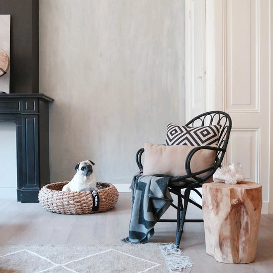 cuccia vimini con cane di taglia piccola