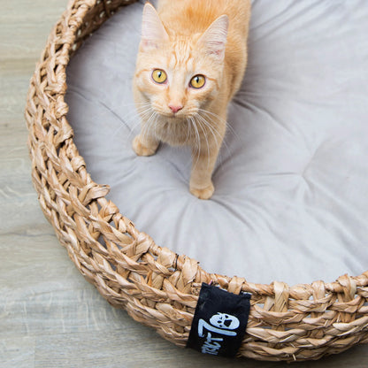 cuccia vimini con gatto taglia piccola al suo interno