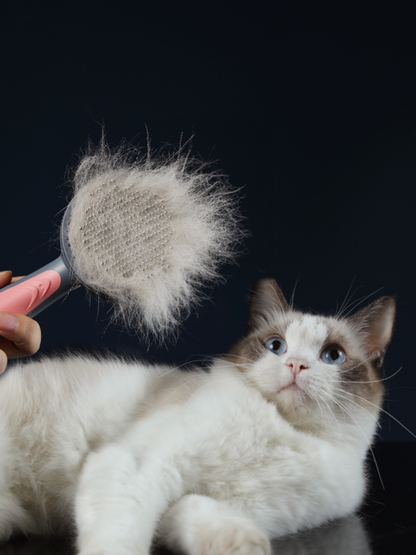One-Click Grooming Brush