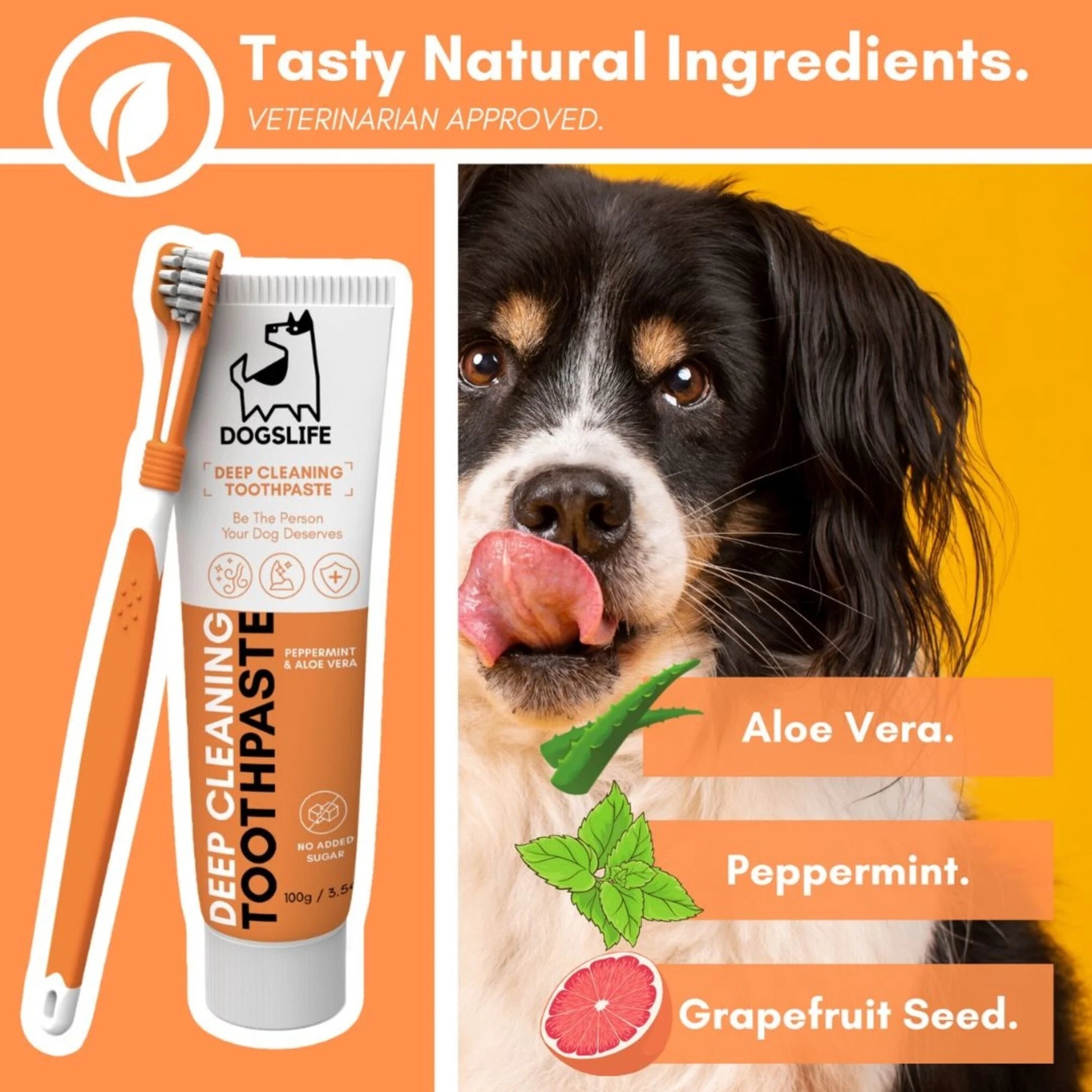 dogs life kit dentale cani igiene orale Mantieni l’alito fresco e denti sani con dentifricio naturale all'aloe vera, menta piperita e spazzolino triplo 