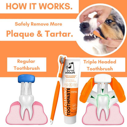 dogs life kit dentale cani igiene orale Mantieni l’alito fresco e denti sani con dentifricio naturale all'aloe vera, menta piperita e spazzolino triplo elimina placca e tartaro