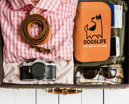 Kit di pronto soccorso completo per cani Immagine del kit dogslife nella valigia pronto per il viaggio
