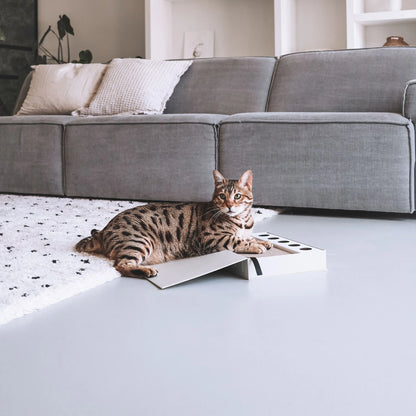 Gatto che gioca con il Tiragraffi Books gioco interattivo per gatti beige cat diary