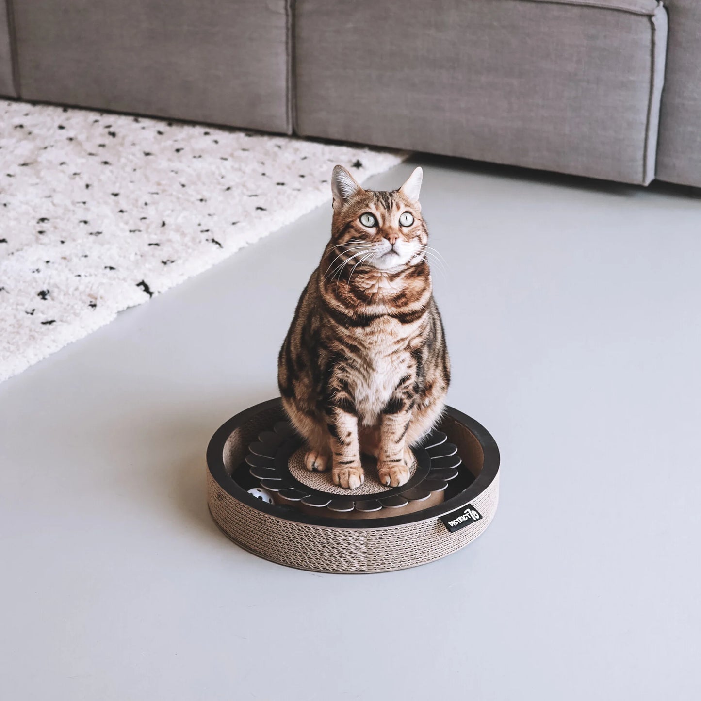 gatto che gioca con il tiragraffi bloom nero gioco interattivo e stimolante con palline e campanellini