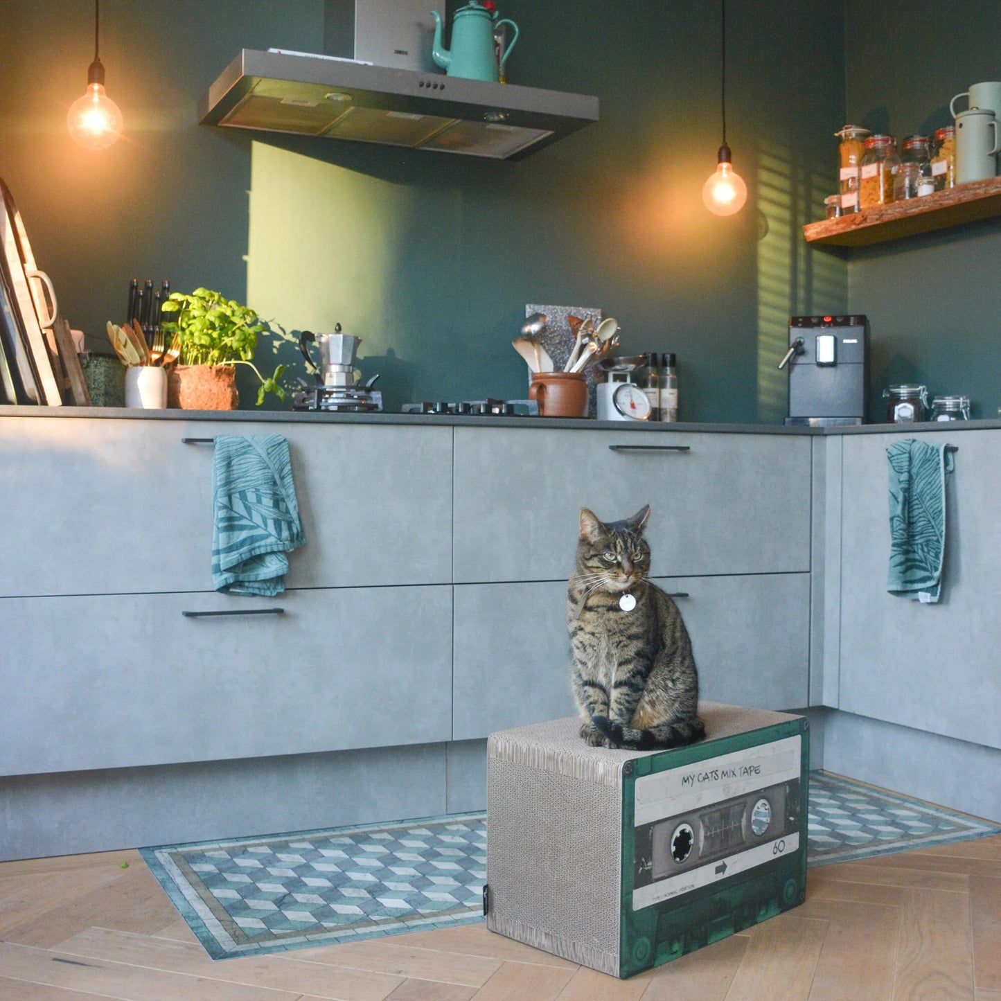 Tiragraffi per gatti Mixtape in stile vintage a forma di audiocassetta con gatto arrabbiato sopra 