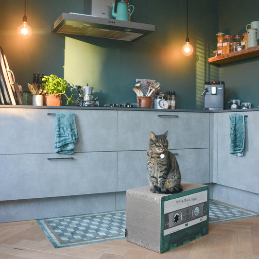 Tiragraffi per gatti Mixtape in stile vintage a forma di audiocassetta con gatto arrabbiato sopra 