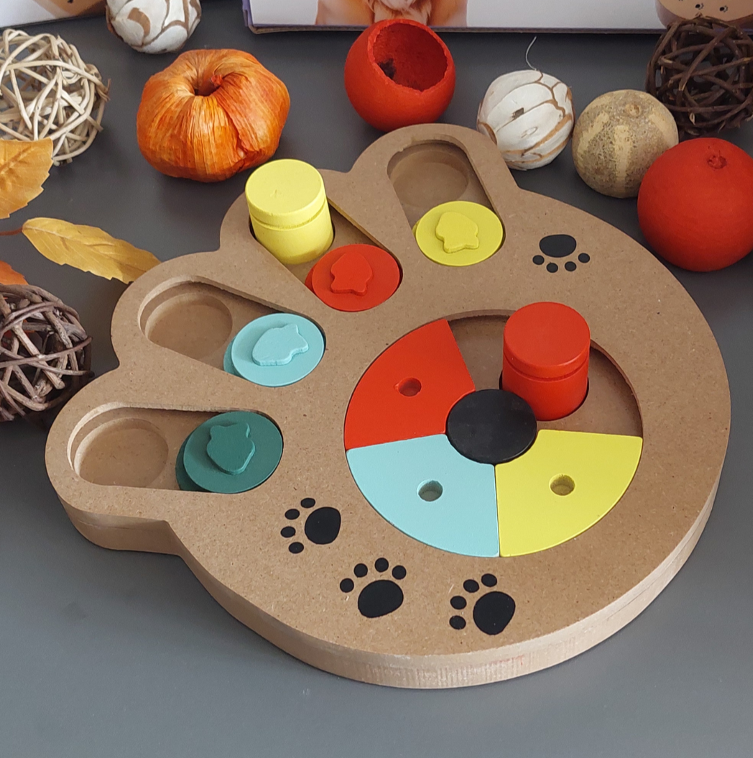 Vista dall’alto del gioco interattivo zampa per cani in legno ecofriendly colorato livello difficolta 3
