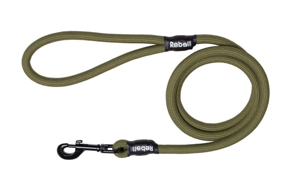 Guinzaglio Basic di colore verde Rebel Petz per cani con manico imbottito