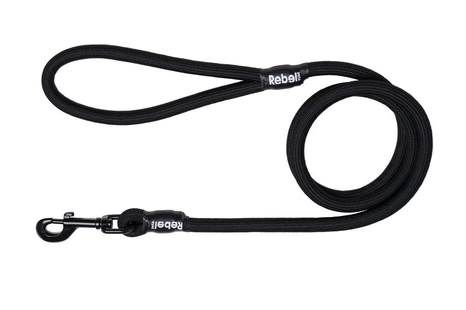Guinzaglio Basic di colore nero Rebel Petz per cani con manico imbottito