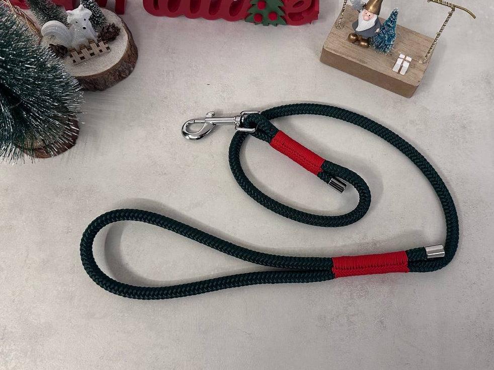 foto del guinzaglio magia del bosco della linea stela di natale semplice ed elegante come la natura. per escursioni natalizie 