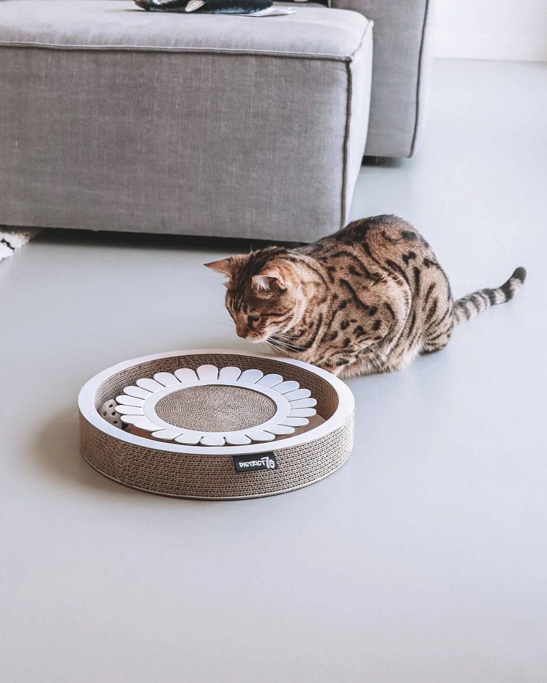 Carica il video: nuovi arrivi per gatti la nostra selezione di prodotti per gatti