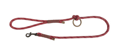 Laisse Rudolph Étoile de Noël - Chic Noël pour chiens de petite et moyenne taille