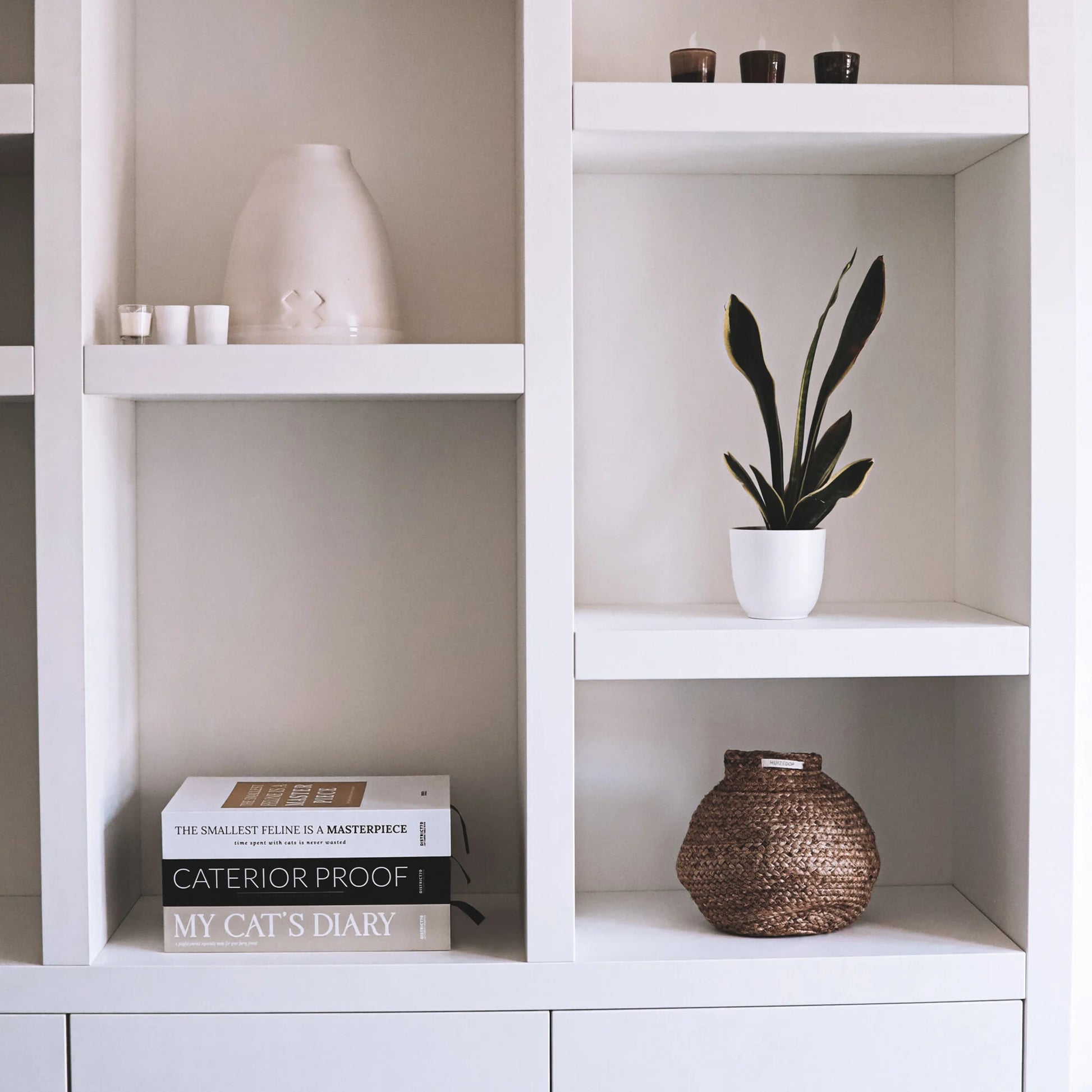 set del Tiragraffi Books gioco interattivo per gatti come decorazione moderna nella libreria del salone