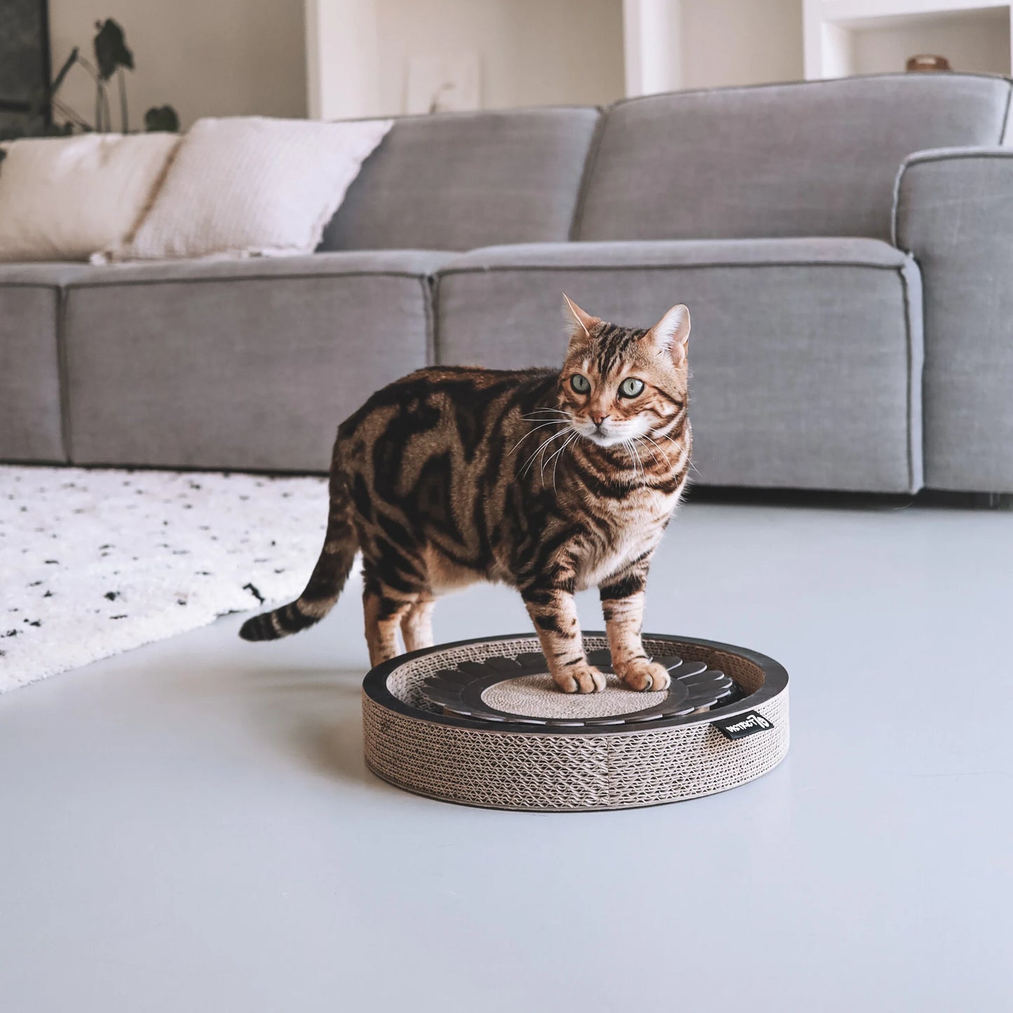 tiragraffi Bloom nero integrato in casa moderna – con gatto che gioca. gioco e tiragraffi per gatti indoor