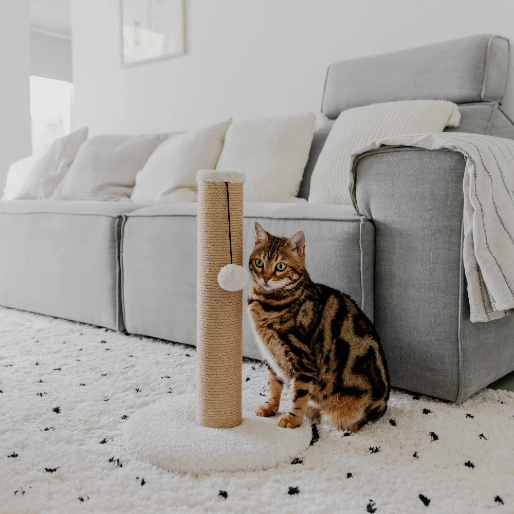 Tiragraffi per gatti con rivestimento in teddy e il palo in yuta con una pallina per giocare inserito in ambiente domestico