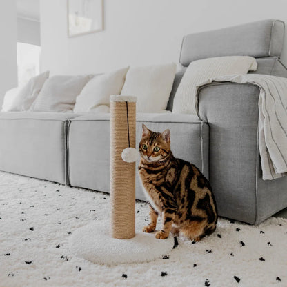 Tiragraffi per gatti con rivestimento in teddy e il palo in yuta con una pallina per giocare inserito in ambiente domestico