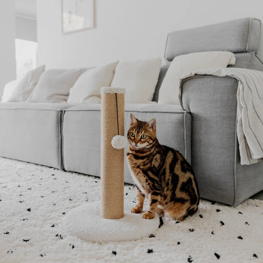 Tiragraffi per gatti con rivestimento in teddy e il palo in yuta con una pallina per giocare inserito in ambiente domestico