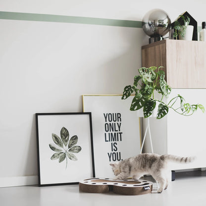 gatto che gioca con il tiragraffi snake in cartone ondulato dal design moderno di colore bianco