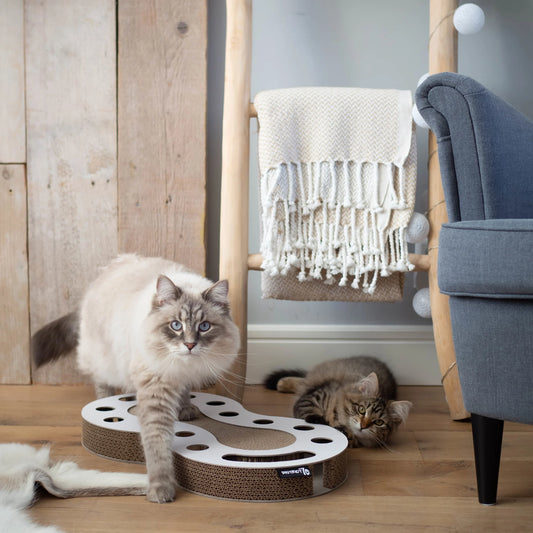 gatti che giocano con il tiragraffi snake bianco dal design moderno che stimola il loro istinto di caccia grazie alla pallina interattiva all'interno del gioco
