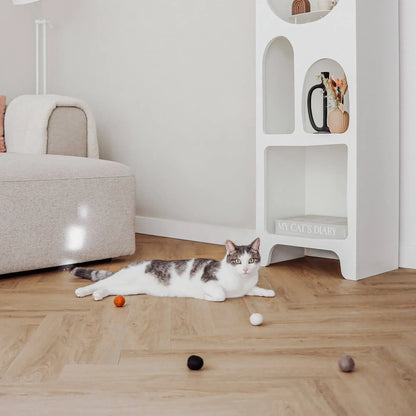Gatto che gioca con le palline in feltro naturale leggere e colorate Accessori ecologici per gatti WoolPlay pure